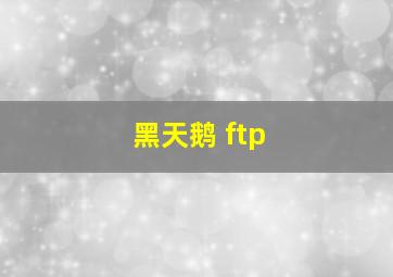 黑天鹅 ftp